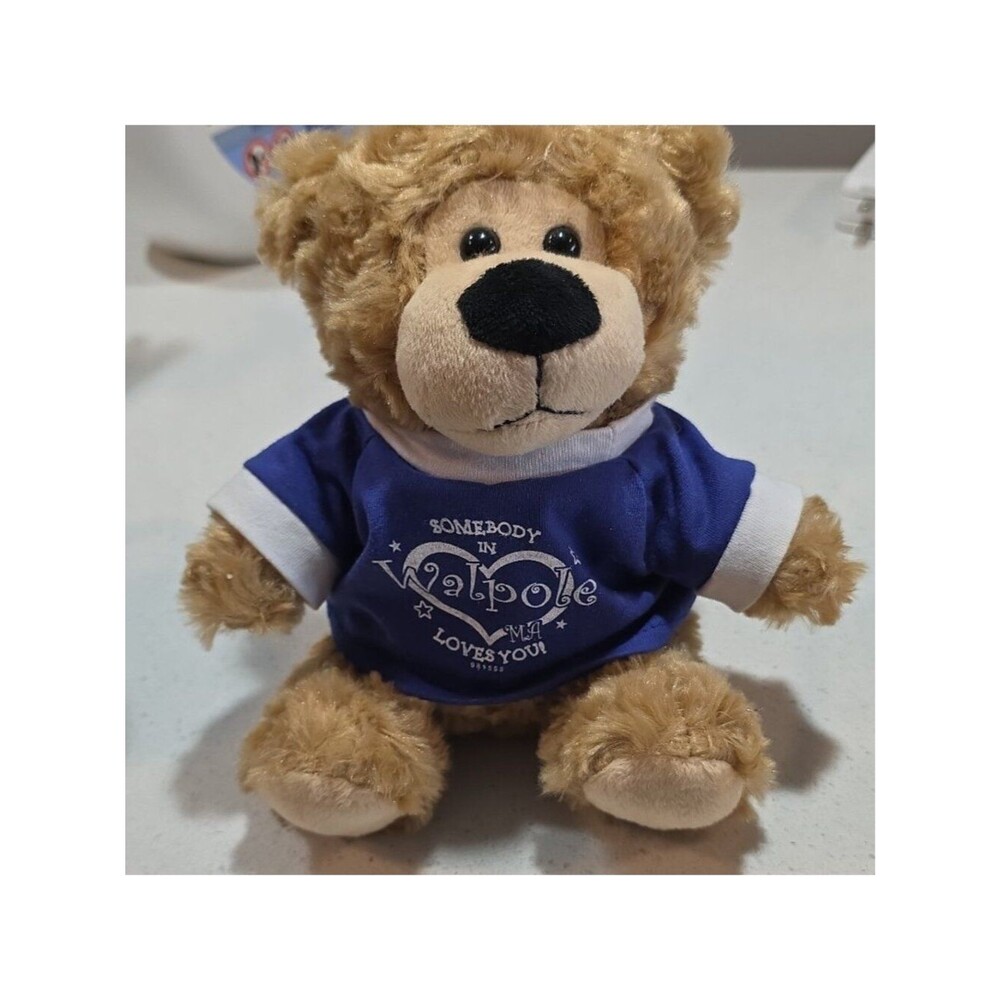 Walpole "Somebody in Walpole Loves You" Plush Teddy Bear Blue Shirt 5-10 in